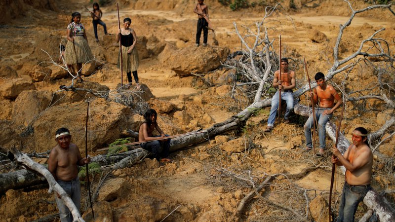 Fotografija: Domorodni prebivalci brazilskega plemena Mura prikazujejo posekano območje znotraj amazonskega pragozda v bližini Humaite, ki ga z dobvoljenjem brazilskega predsednika Bolsonara živinorejci zažigajo, da bi dobili čim več pašnih površin, na katerih bi vzrejali živino. FOTO: Ueslei Marcelino/REUTERS