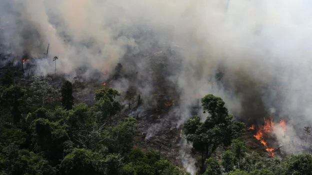 V Braziliji nimajo upanja, da bo v prihodnjih treh letih kaj bolje. FOTO: Reuters