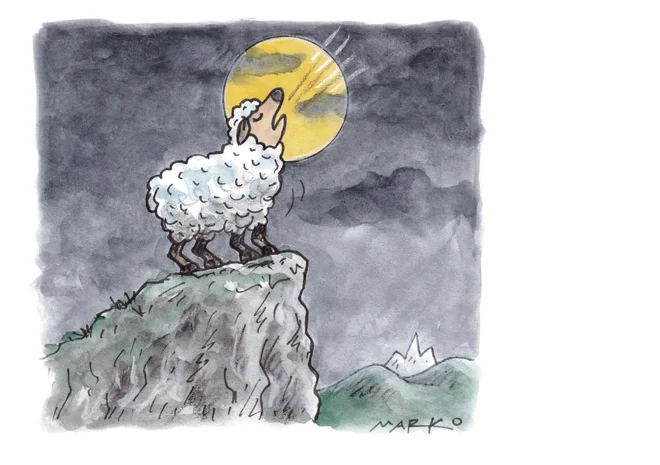 Karikatura: Marko Kočevar&nbsp;