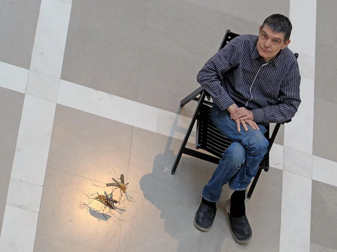 Foto Tomi Lombar