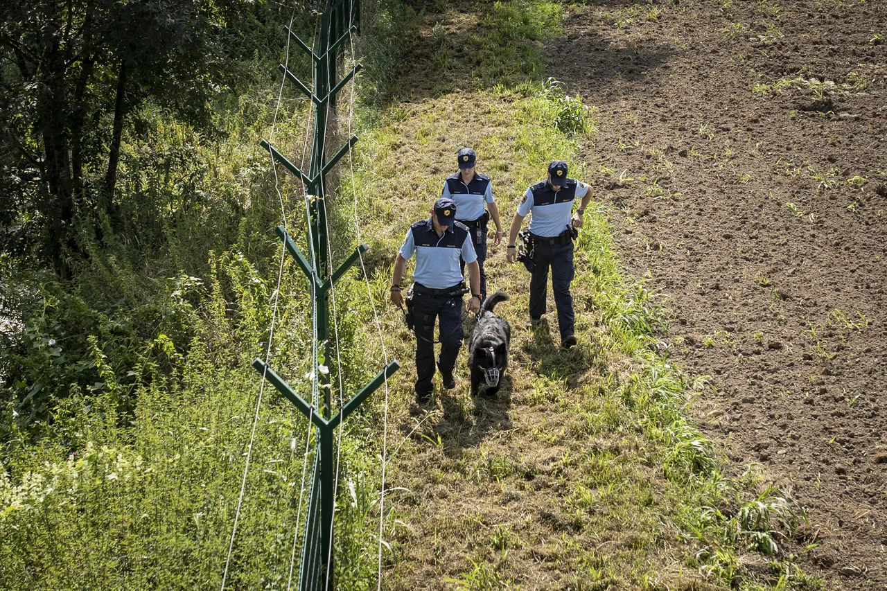 Fotografija: Policistom v redni sestavi pri nadzoru pomagajo tudi pomožni policisti. FOTO: Voranc Vogel