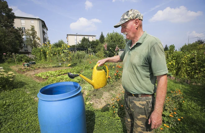 Bolj ko je poletje suho in vroče, manj je komarjev. Foto Jože Suhadolnik