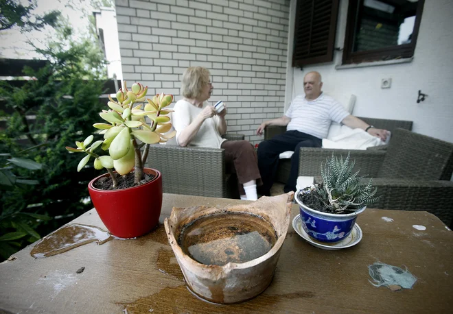 Komarji odlagajo ličinke tudi pred našimi nosovi na terasah in balkonih, če jim le priskrbimo tekočo vodo. Foto Blaž Samec