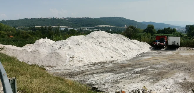 Sol v naravi pri Bertokih Foto Boris Šuligoj