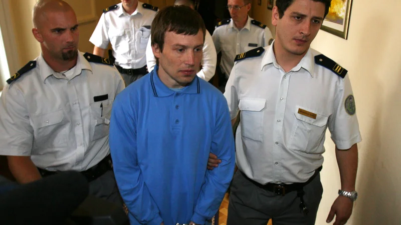 Fotografija: V primeru pravnomočnosti sodbe bo moral Janez Schuller Luciji Brajdič plačati 11.100 evrov. FOTO: Dejan Javornik/Delo