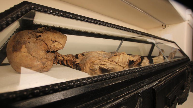 Fotografija: Hadikova mumija že od devetnajstega stoletja buri domišljijo. Foto Jože Pojbič