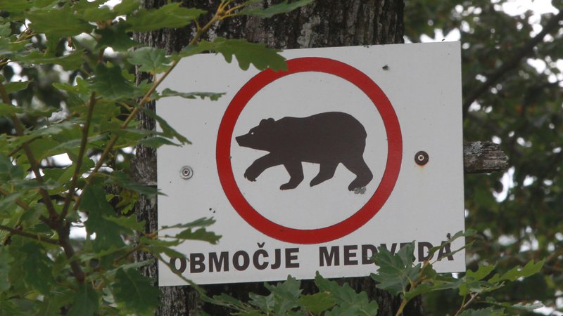 Fotografija: V govorih so vsi opozorili, da odstrel volka in rjavega medveda, kot si ga predstavljajo naše institucije pod vodstvom ministrstva za okolje in prostor, ni zakonit.FOTO: Marko Feist