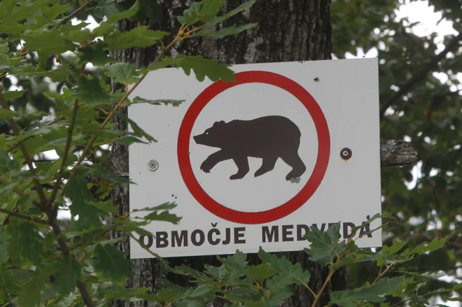 V govorih so vsi opozorili, da odstrel volka in rjavega medveda, kot si ga predstavljajo naše institucije pod vodstvom ministrstva za okolje in prostor, ni zakonit.FOTO: Marko Feist