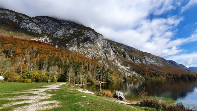 Bela pot, vodi nas ... FOTO: Mitja Ravnikar