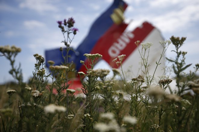 Parlamentarna skupščina Sveta Evrope (PACE) pripravlja posebno poročilo o tragediji MH17. FOTO: Maxim Zmeyev/Reuters