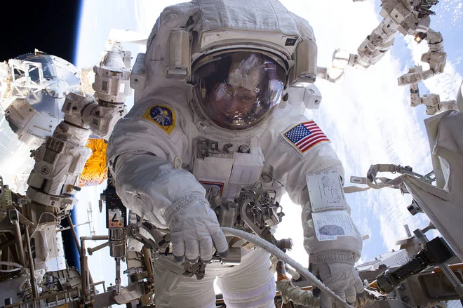 Slovenski politiki preprosto ne razumejo pomena znanosti, znanja in razvoja. Foto Nasa