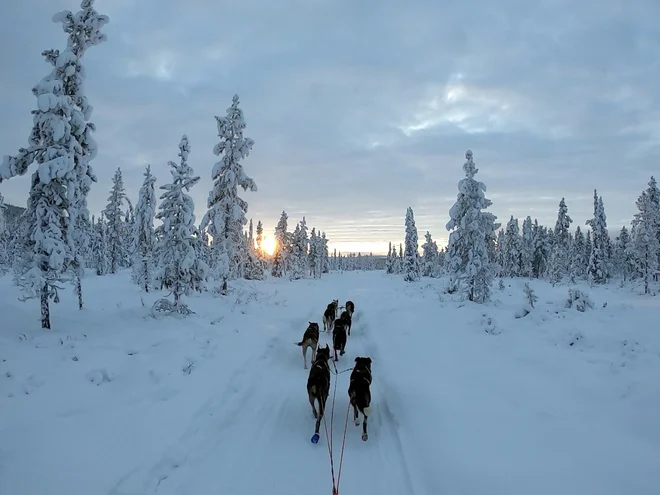 Na lanski dirki Pasviq trail, kjer je Hana ciljo črto prečkala kot šesta. FOTO: osebni arhiv Hane Urank