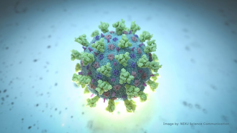Fotografija: Večina znanstvenikov meni, da je cepivo edini odgovor na pandemijo. Foto NEXU Science Communication/via REUTERS