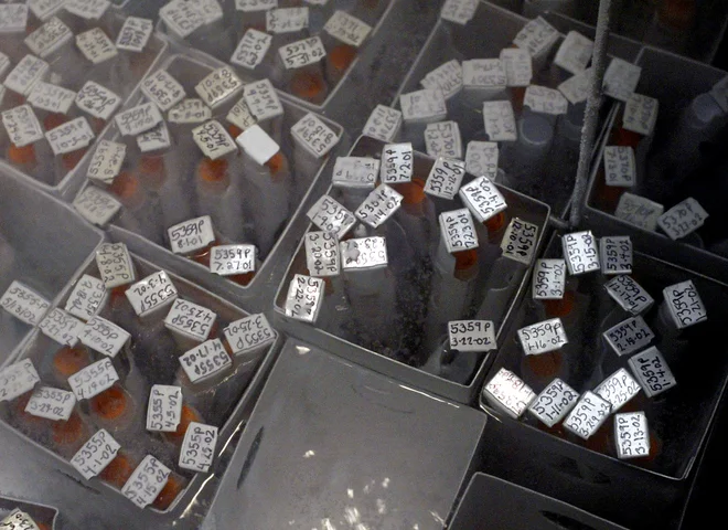 Individualno oštevilčeni vzorci semenske tekočine v tekočem dušiku v semenski banki California Cryobank. V tej banki so ameriškim vojakom omogočili enoletno brezplačno hrambo semena med ameriško-iraško vojno. FOTO: Fred Prouser/Reuters