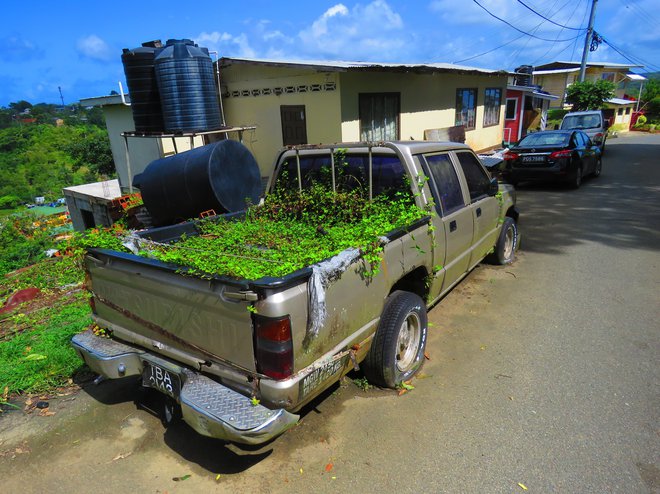 Odslužen tovornjaček je primeren za gojenje zelenjave. FOTO: Peter Prebil