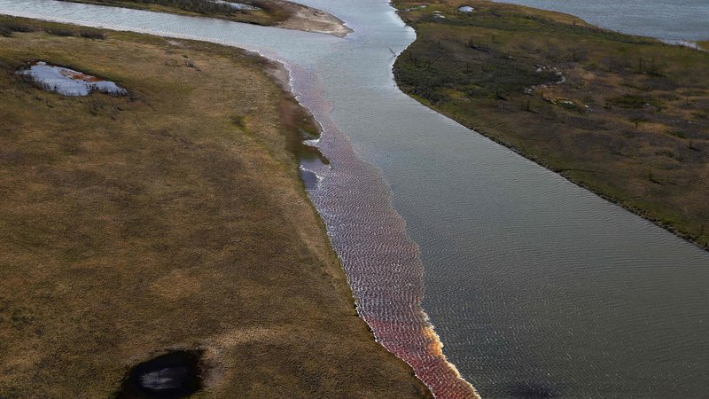 Fotografija: Gorivo je onesnažilo zelo občutljiv ekosistem nižinskih rek v severni Sibiriji. FOTO: Irina Jarinska/AFP