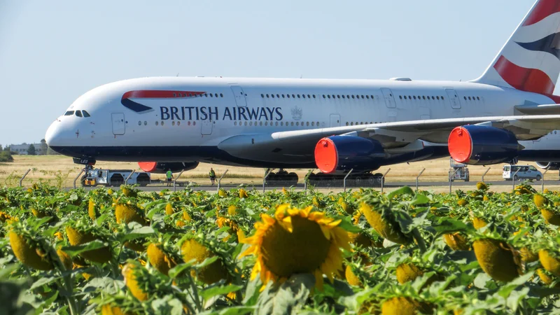 Airbus A380 - fotografirani je &raquo;brezdelno&laquo; parkiran na letališču Chateauroux v Franciji - je postal simbol krize v letalstvu, tako za letalske družbe kot za proizvajalce.<br />
FOTO: Pascal Rossignol/Reuters