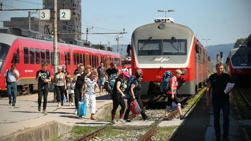 Fotografija: V SDH že dolgo opozarjajo, da se doseganje ciljev v strateških družbah, kot so Slovenske železnice, pogosto izključuje z doseganjem visoke donosnosti. FOTO: Jure Eržen/Delo