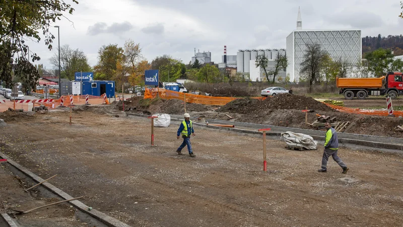 Fotografija: Večina evropskih držav subvencionira nakupe električnih vozil. A ta ukrep bo treba nadgraditi, tudi v Sloveniji. FOTO: Voranc Vogel/Delo