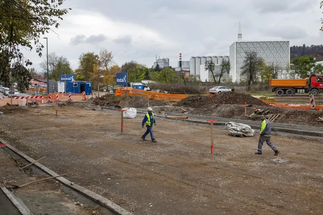 Večina evropskih držav subvencionira nakupe električnih vozil. A ta ukrep bo treba nadgraditi, tudi v Sloveniji. FOTO: Voranc Vogel/Delo