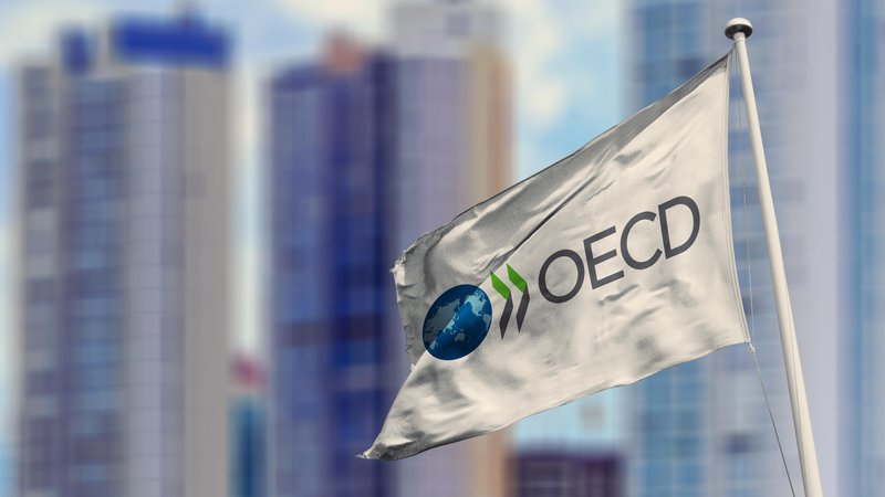 Fotografija: OECD je ublažil napovedi o letošnjem gospodarskem padcu. FOTO: Rafapress Shutterstock