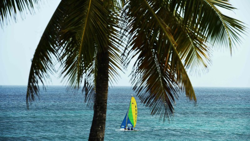 Fotografija: Barbados si želi prekiniti s kolonialno preteklostjo. FOTO: Jewel Samad/AFP