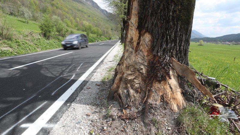 Fotografija: Voznik je s ceste zapeljal v drevo (simbolična fotografija). FOTO: Dejan Javornik/Slovenske novice