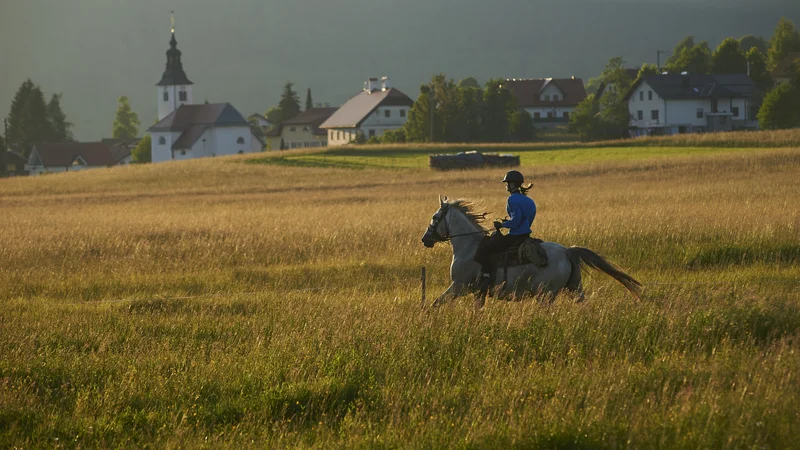 Fotografija: Pozitivna plat dela od doma je, da zaposlenim omogoča rekreacijo med delovnikom, težava pa je, da niti z najhitrejšim konjem zaposleni ne more ubežati delovnim obveznostim, ki ga bodo pričakale doma. FOTO: Primož Zrnec/Delo