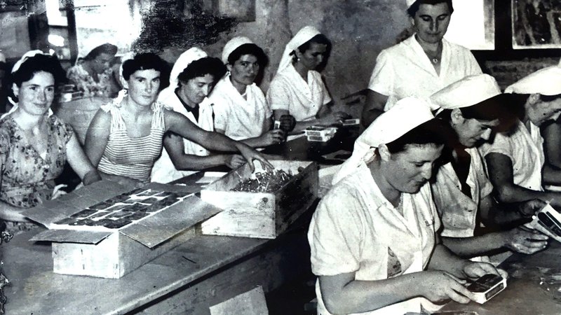 Fotografija: Najtežje delo v tovarnah ribjih konzerv na Jadranu so opravljale ženske, ki se jih je držal tudi smrad po ribah. Fotografije iz zbornika Zgodbe iz konzerve