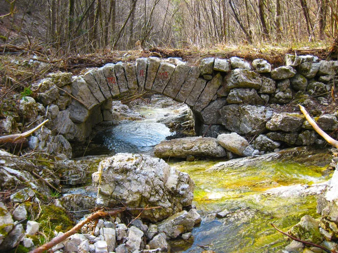 Nekje v Srni grapi prastara pot premošča vodovje. FOTO: Aleš Nosan