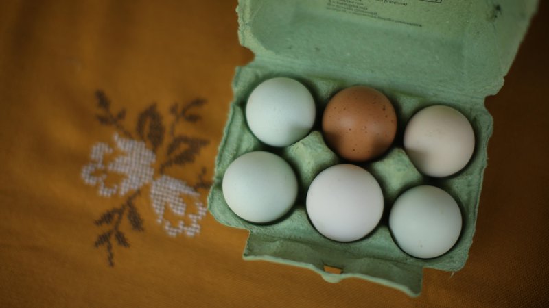 Fotografija: Osnovni posel Meje Šentjur je pridelava jajc, kjer pa jim tržni delež pada. FOTO: Jure Eržen/Delo