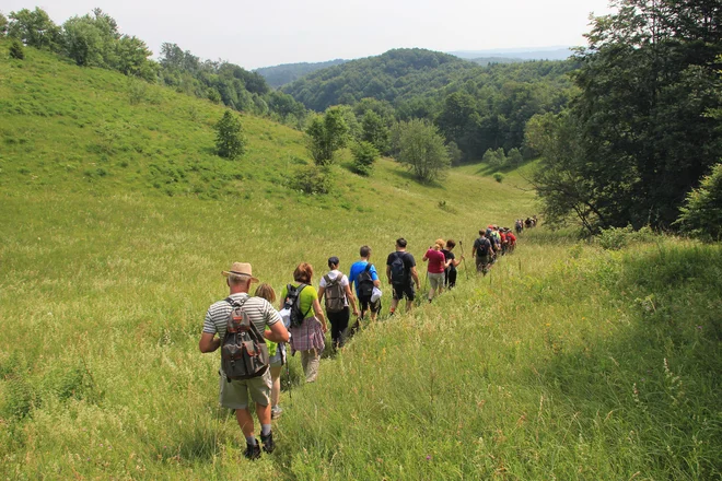 V projektu so udeležence ozaveščali o pomenu travišč, seveda na terenu. FOTO: arhiv ZRSVN