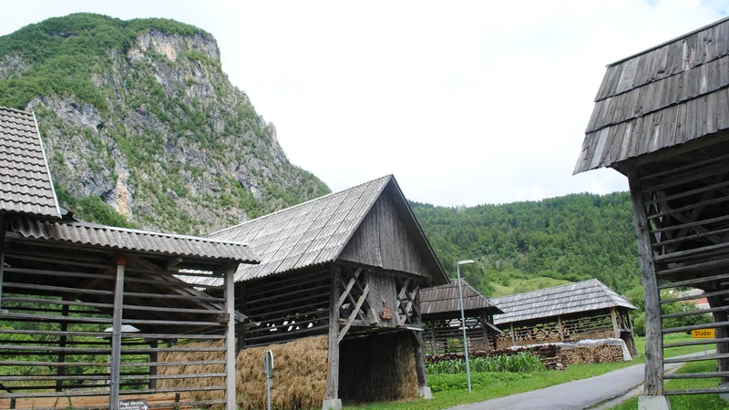 Fotografija: Etnološka stroka bi morala v bodoče narediti več, da se nam slovenski kozolec ohrani – če ni več potreben v kmetijstvu, bi si bilo treba zanj izmisliti novo funkcijo. Foto Vojko Zakrajšek