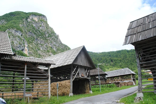 Etnološka stroka bi morala v bodoče narediti več, da se nam slovenski kozolec ohrani &ndash; če ni več potreben v kmetijstvu, bi si bilo treba zanj izmisliti novo funkcijo. Foto Vojko Zakrajšek