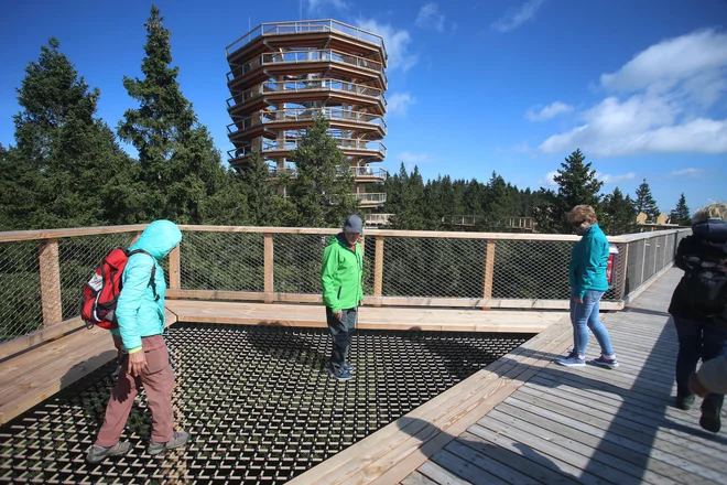 Pot med krošnjami Pohorje s 37 metrov visokim stolpom je doslej obiskalo več kot 220.000 ljudi. FOTO: Tadej Regent