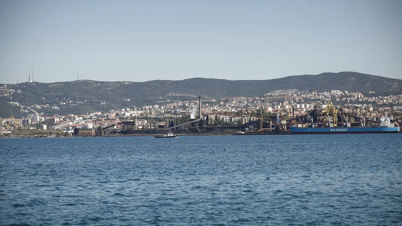 Fotografija: V tržaško pristanišče bodo predvidoma vstopili Nemci. Foto Uroš Hočevar/Delo