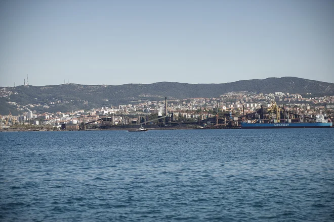 V tržaško pristanišče bodo predvidoma vstopili Nemci.&nbsp; Foto Uroš Hočevar/Delo