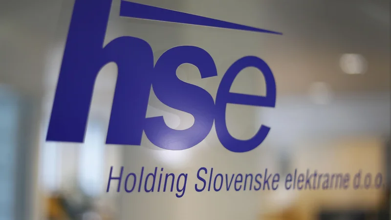 Fotografija: Holdingu Slovenske elektrarne so nadzorniki le prižgali zeleno luč do srednje Save. Foto: Leon Vidic/Delo