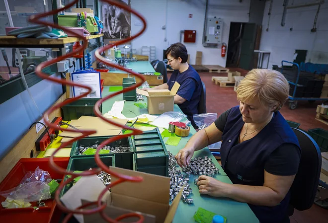 V procese nenehnega iskanja izboljšav vključujejo vse zaposlene, saj verjamejo, da vsak sodelavec najbolje pozna področje, ki ga obvladuje. FOTO: Jože Suhadolnik/Delo