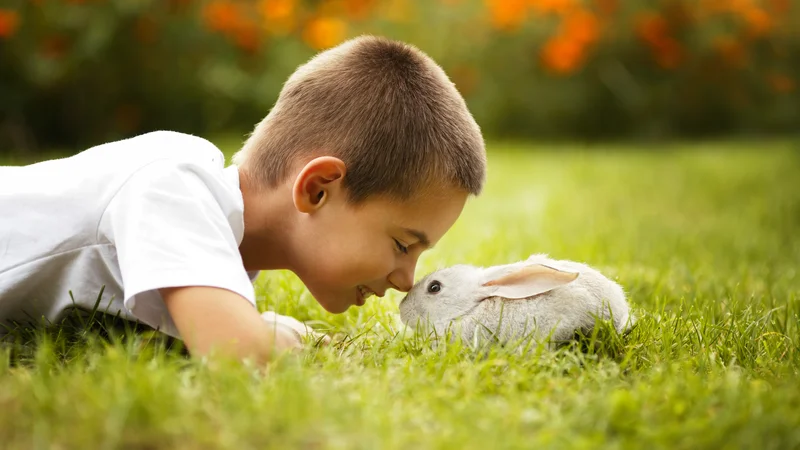Fotografija: V zadnjem času so se v veterinarski operativi močno razvile zasebne ambulante in celo bolnišnice za zdravljenje malih živali, človekovih »družabnic«. Foto Shutterstock