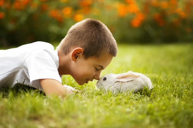 V zadnjem času so se v veterinarski operativi močno razvile zasebne ambulante in celo bolnišnice za zdravljenje malih živali, človekovih &raquo;družabnic&laquo;. Foto Shutterstock