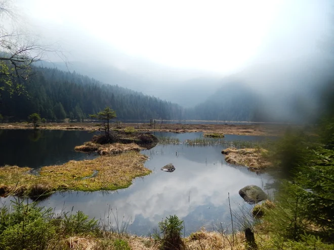 Bavarski gozd, jezero Arber ©DZT FOTO:Isabelle Auer