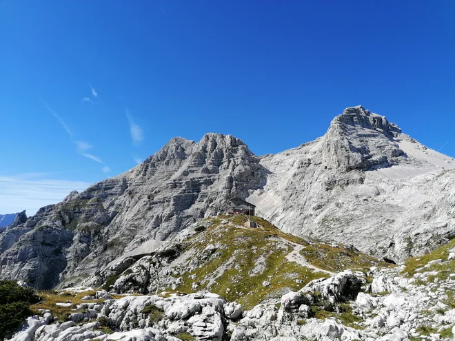 Spomladansko zaprtje občinskih meja sem preživela (dobro, čisto malo pretiravam) prav zaradi vsakodnevne hoje. FOTO: Anja Intihar