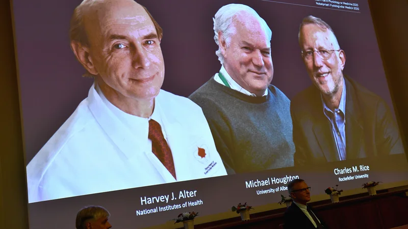 Fotografija: Harvey J. Alter, Michael Houghton in Charles M. Rice so odkrili virus hepatitisa C in omogočili razvoj testov za ugotavljanje bolezni in zdravil. FOTO: Claudio Bresciani/TT News AgencyReuters