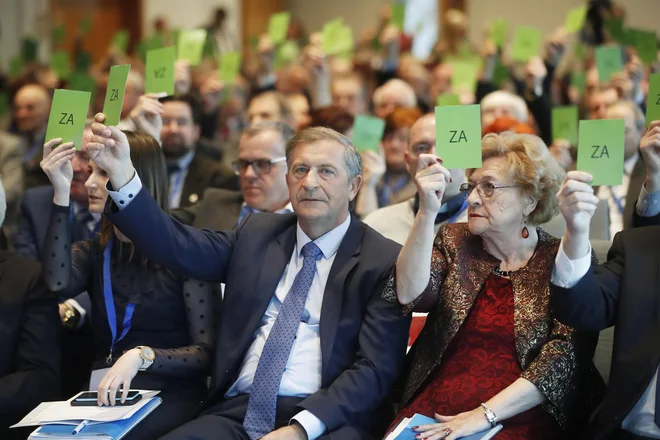 Se bo Karl Erjavec vrnil v politiko? FOTO: Leon Vidic/Delo