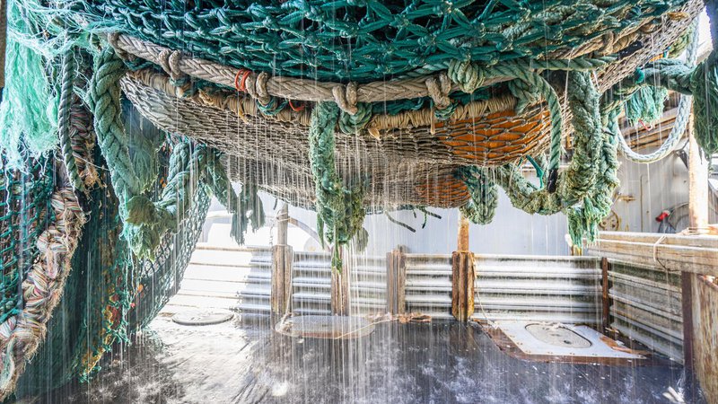 Fotografija: Plastično ogrodje Ocean Edition Chipola je narejeno iz zavrženih ribiških mrež, ki zaradi svoje sestave in oblike predstavljajo večji del težav s plastiko v oceanih. FOTO: Arhiv podjetja Chipolo