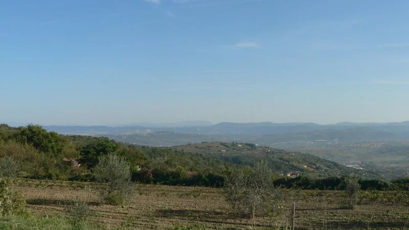 Fotografija: Koprska občina prodaja tudi nepozidana stavbna zemljišča v zaledju. FOTO: Mestna Oibčina Koper