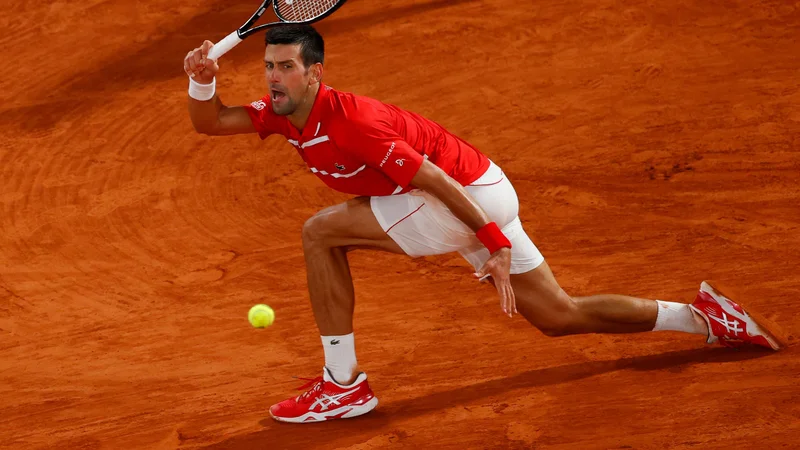 Fotografija: Novak Đoković je doslej na pariškem pesku osvojil le eno lovoriko, leta 2016. FOTO: Thomas Samson/AFP