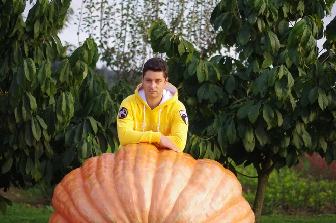 Ključni so pravo seme, vreme in sreča, pravi Janko Lovše. FOTO: Grega Kališnik/Nedelo