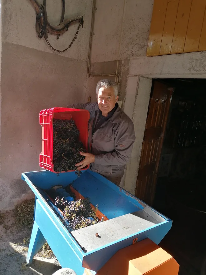 Ištvan je bil pri mlinu. FOTO: Brane Maselj
